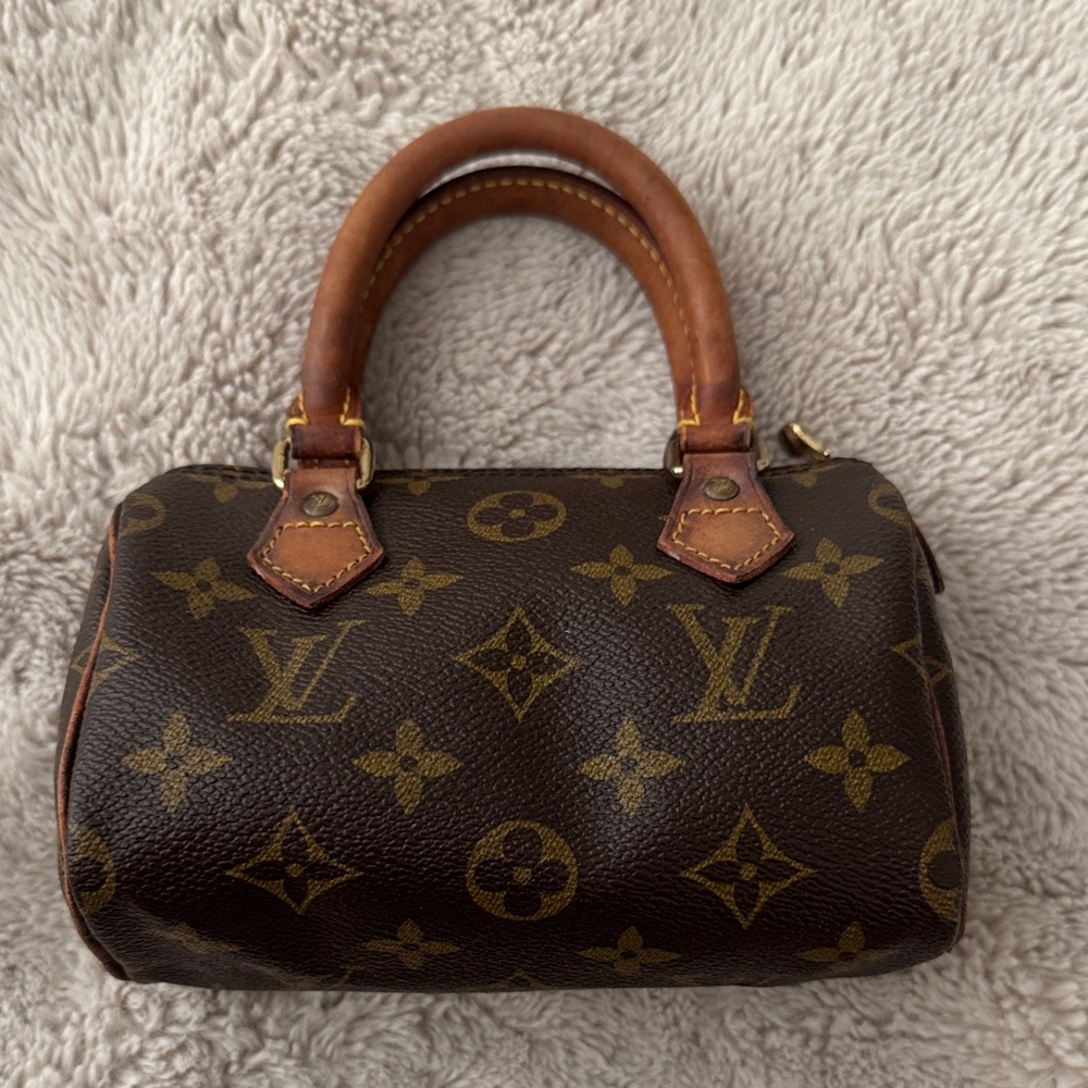 Louis Vuitton Mini Bag in Brown Monogram